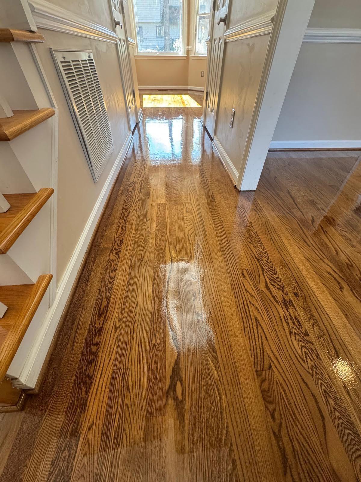 Glossy freshly sealed red oak hallway flooring